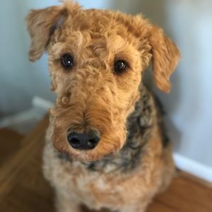 Meet your Posher, Chloe